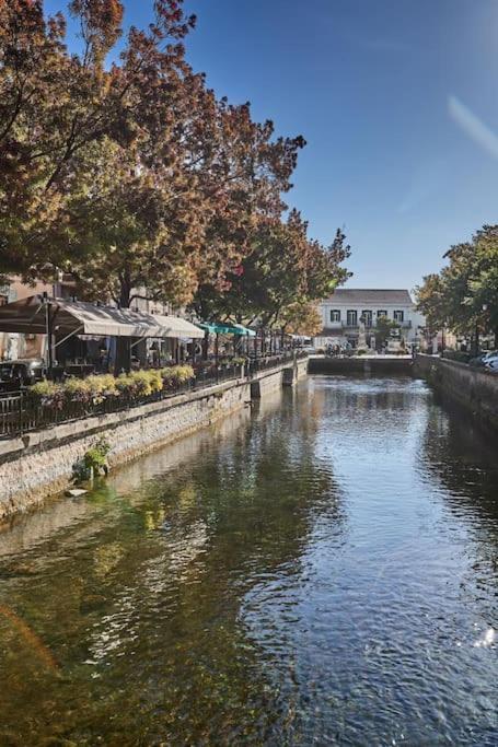 Zen A L Isle LʼIsle-sur-la-Sorgue Exteriér fotografie